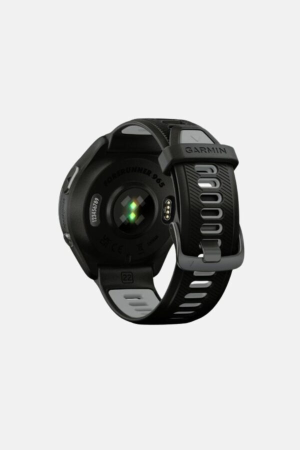garmin965 (5)